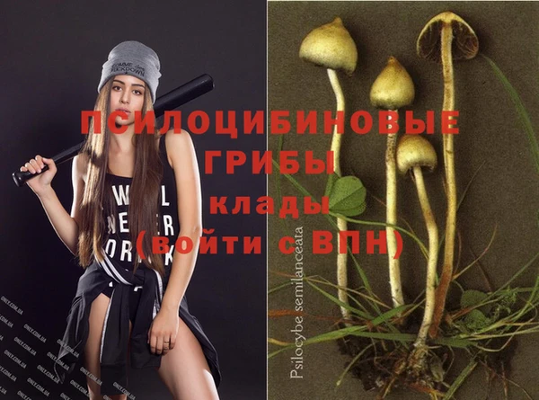 шишки Нязепетровск