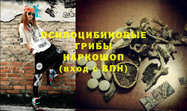 ПСИЛОЦИБИНОВЫЕ ГРИБЫ Абаза