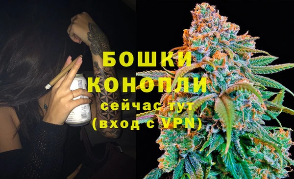 ПСИЛОЦИБИНОВЫЕ ГРИБЫ Абаза