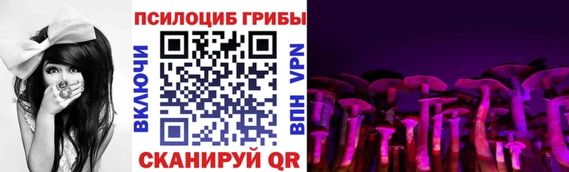 Псилоцибиновые грибы ЛСД  цены наркотик  Мурино 