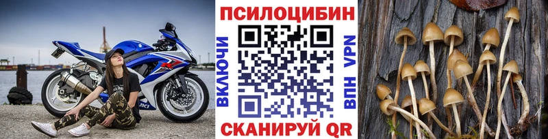 Псилоцибиновые грибы GOLDEN TEACHER Мурино